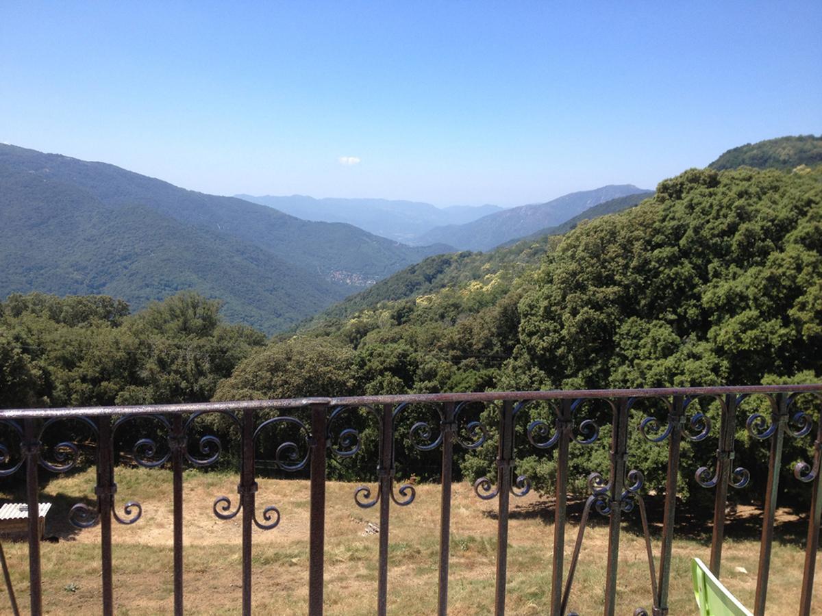 Casa Sarrinca Serra-di-Scopamene